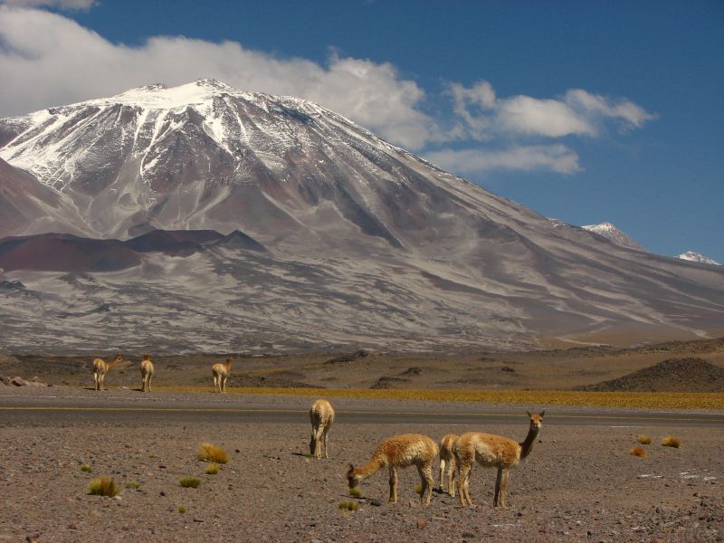 incahuasi guided volcano expedition